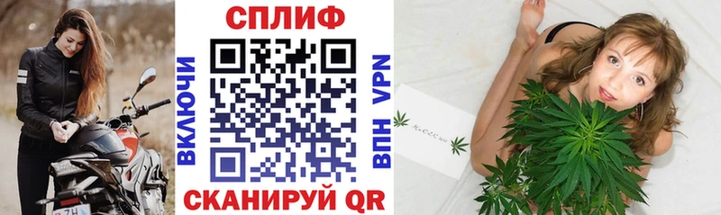 блэк спрут ссылка  где купить наркоту  Рязань  Марихуана White Widow 